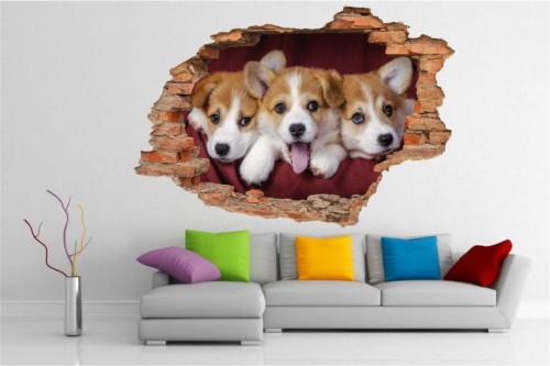 Naklejki na ścianę 3d widok dziura w ścianie konie zwierzęta, psy, koty, słonie, tygrysy
