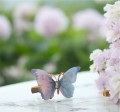 złota spinka do włosów motyl