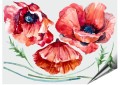 Czerwone MAKI Kwiaty Akwarela Naklejki na ścianę