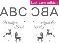 lustrzane odbicie wzoru